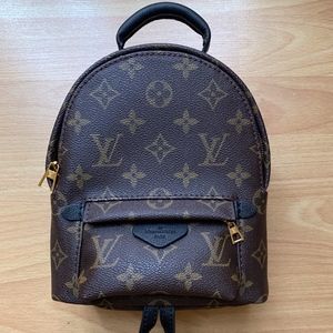 Louis Vuitton Palm Springs Mini Leather Backpack